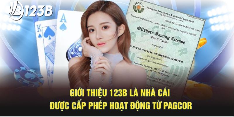 123b đã nhanh chóng vươn lên trở thành một trong những nhà cái cá cược trực tuyến hàng đầu khu vực